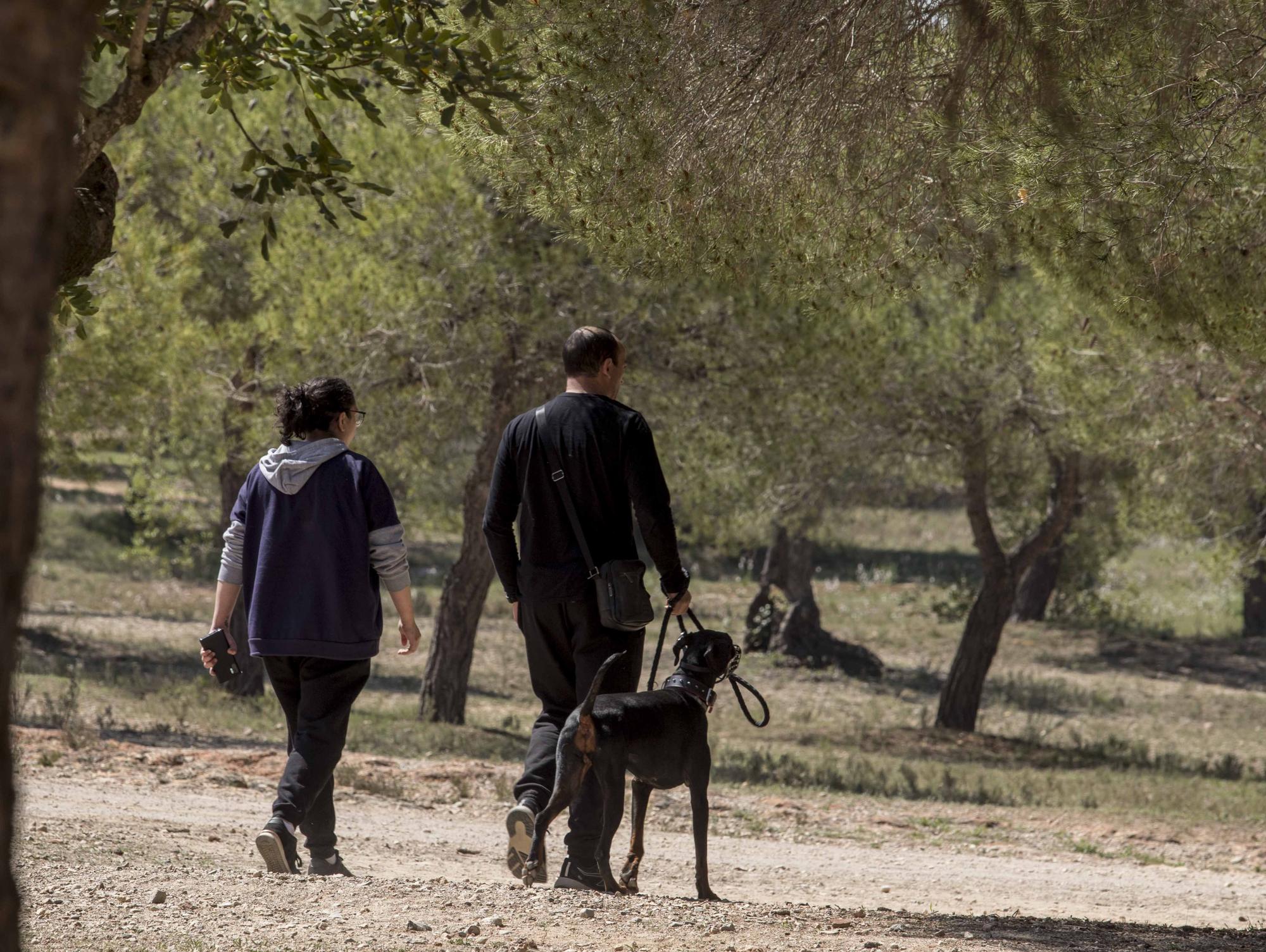 El Parc d San Vicent de Lliria vuelve a llenarse de familias dos años depués