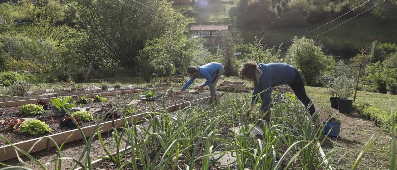 Las ayudas agrarias por la crisis del covid tendrán que esperar a 2023