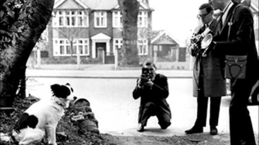 &#039;Pickles&#039;, el héroe de Inglaterra 66, ante varios fotógrafos. / Corbis