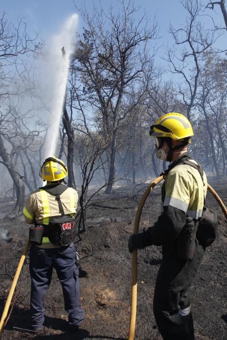 Incendi a al polígon industrial de Maçanet