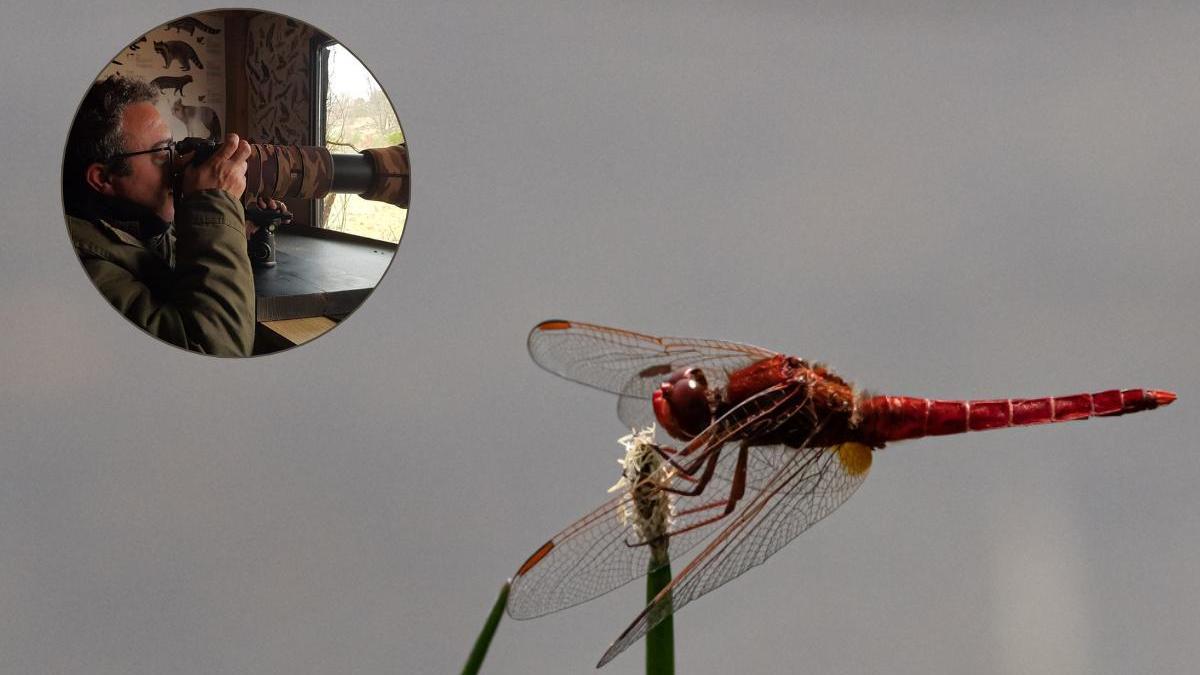David Galeano, fotógrafo extremeño experto en macrofotografía.
