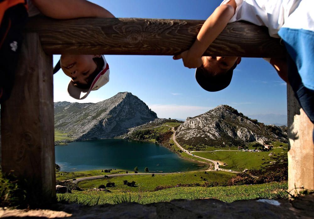 Las fotos que demuestran que los Lagos son una maravilla natural