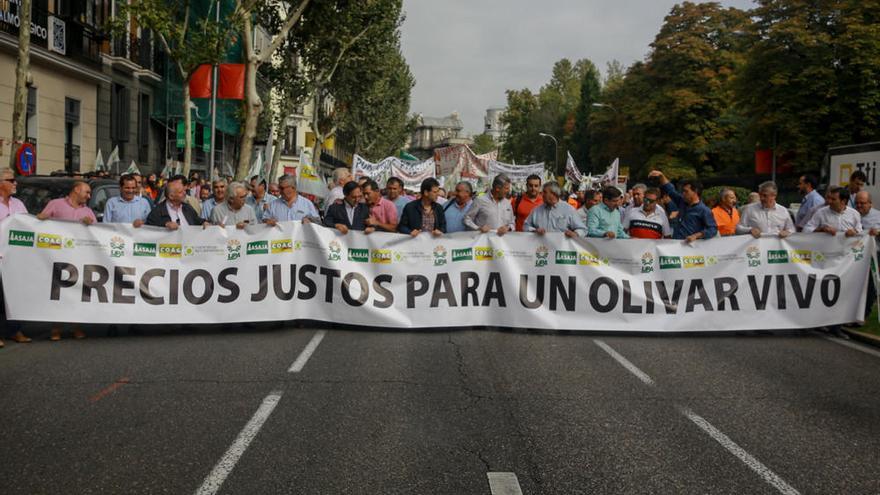 Cabecera de la manifestación celebrada en Madrid en defensa del olivar.