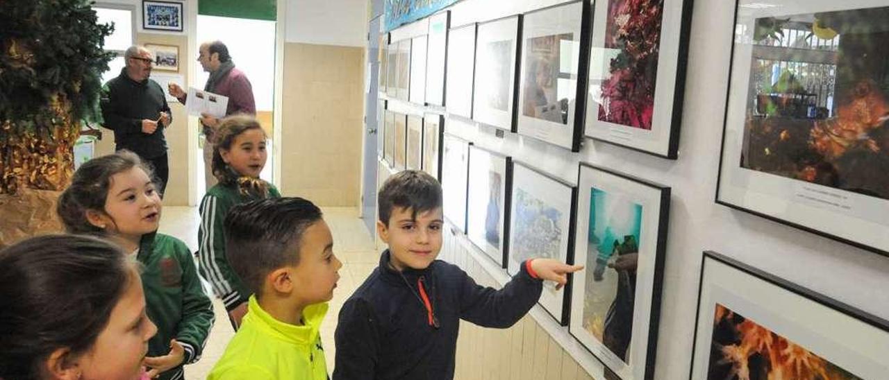 La exposición de fotografía submarina del colegio de Rubiáns que abre al público el lunes.  // Iñaki Abella