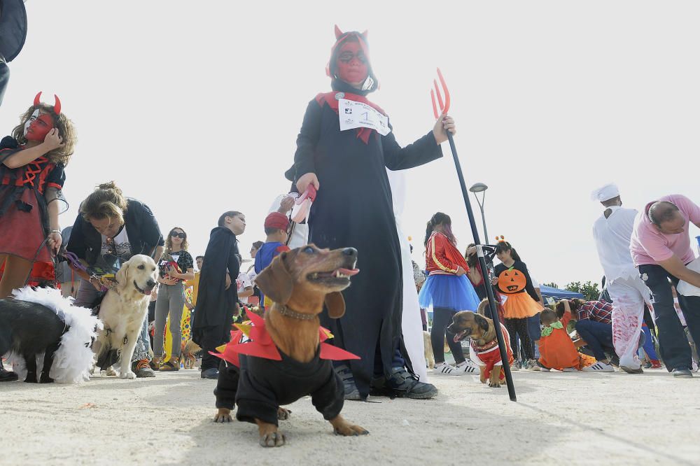 Halloween en el parque canino de Gran Alacant