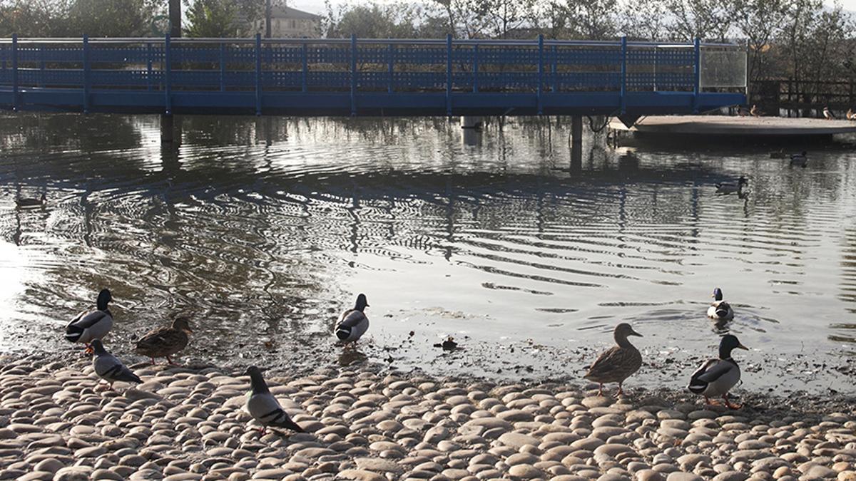 Lago de la Av. de Francesc Macià en Parets del Vallès