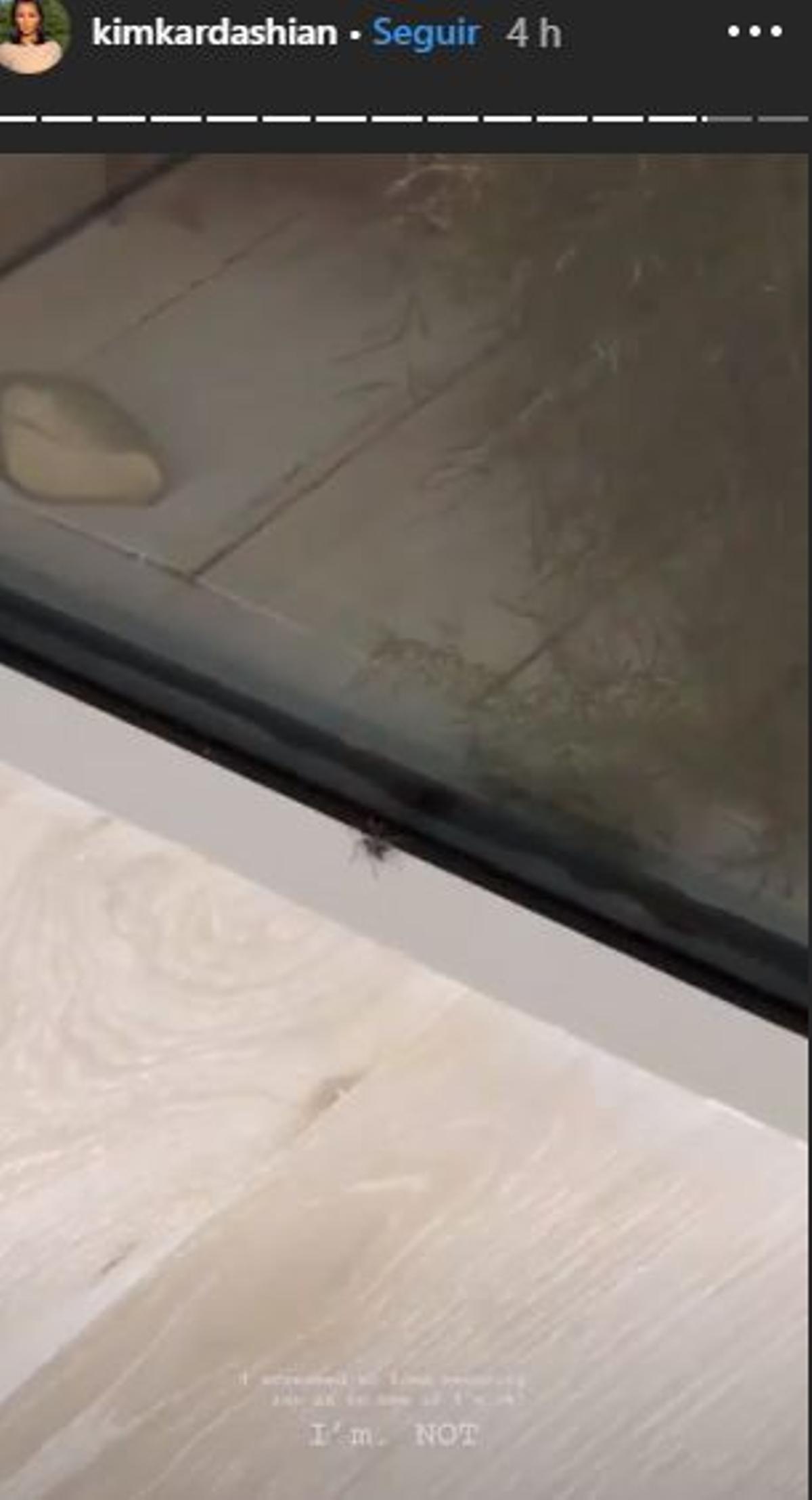 Kim Kardashian se encuentra una araña en su habitación
