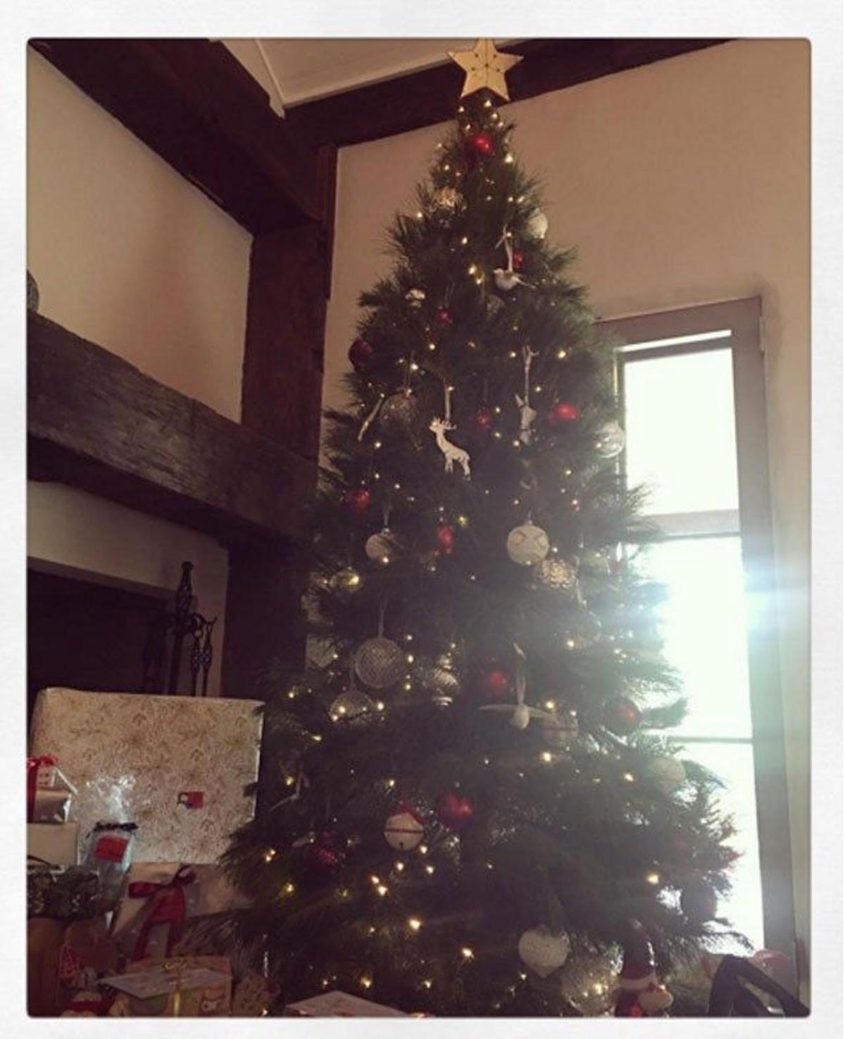 Miranda Kerr felicitó la Navidad con el árbol de casa de sus padres