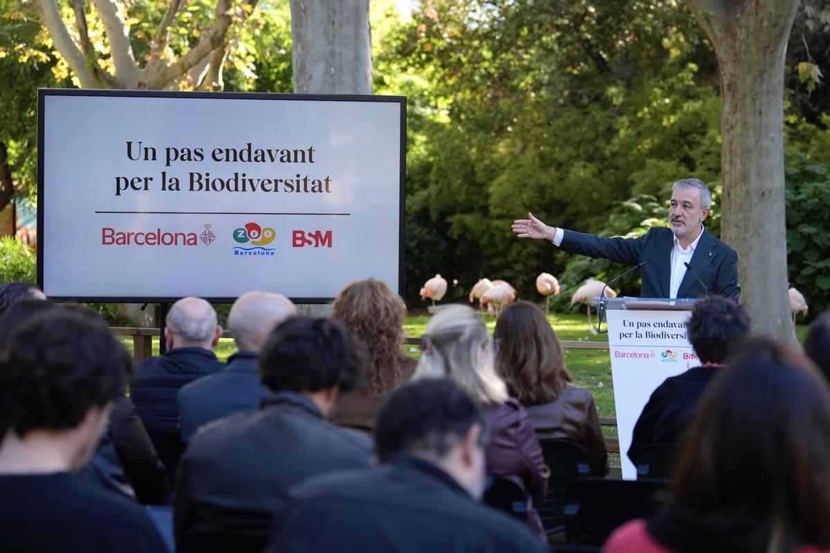 El alcalde de Barcelona, Jaume Collboni, presenta los nuevos proyectos del Zoo.