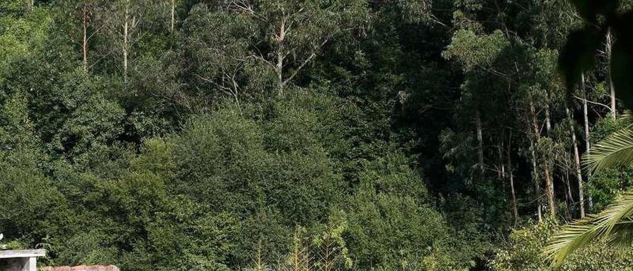 La piscina de La Bouza donde falleció el niño Izan Álvarez.