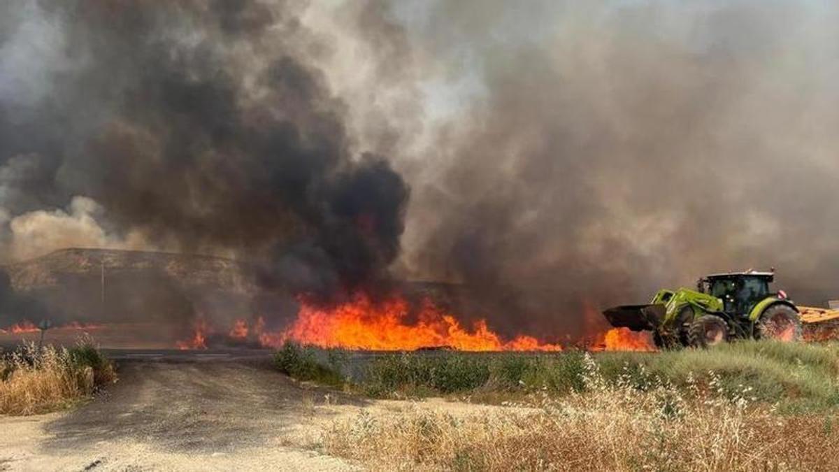 Un tractor ataca un frente de llamas en un incendio de cereal en una imagen de archivo.
