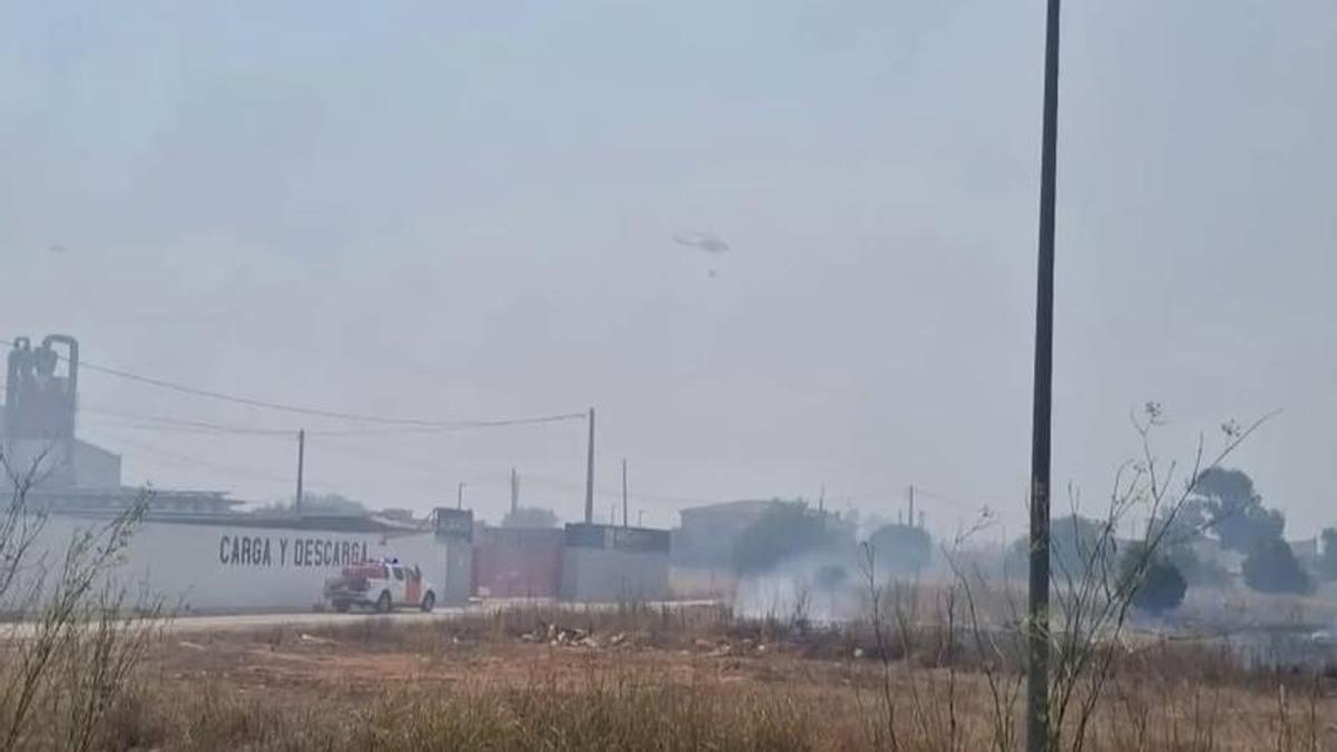 Parcelas incendiadas en Aldaia en la partida de les Barraques, el pasado domingo.