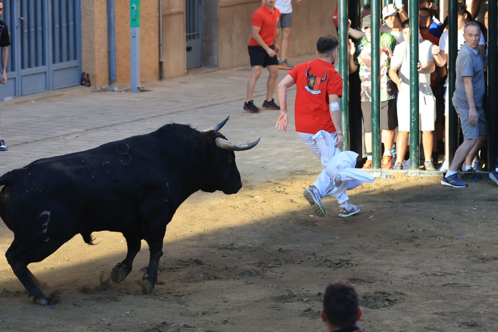 Las imágenes del primer encierro y de las exhibiciones taurinas de las fiestas de Almassora