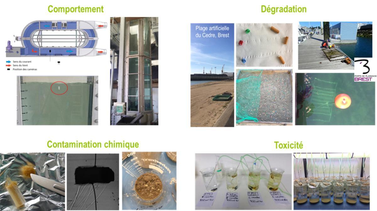 Experimentos en el laboratorio, la playa y la zona portuaria de Brest.