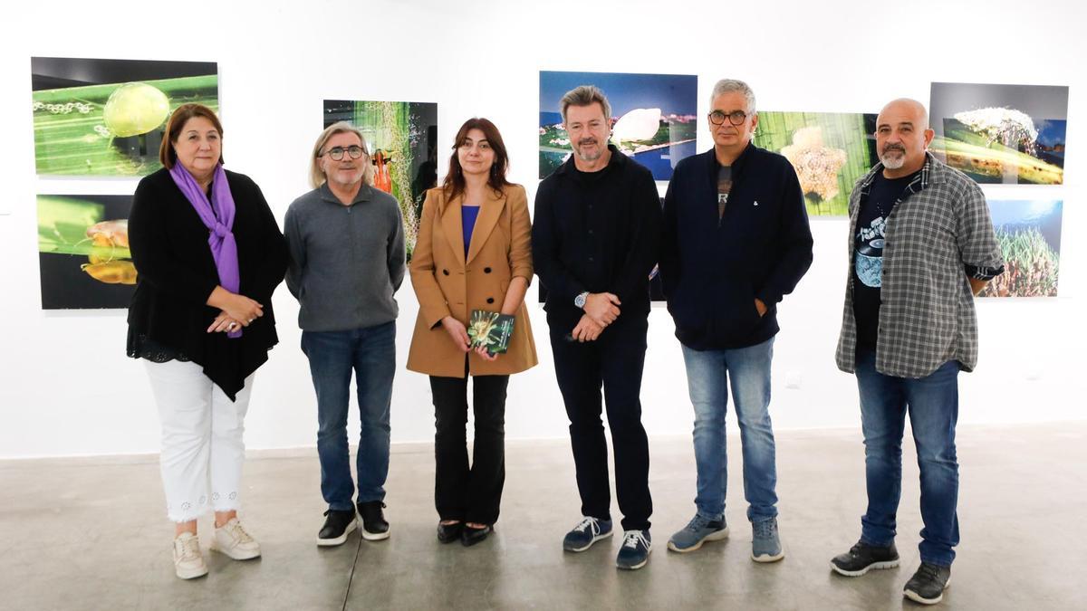 Exposición 'El jardí de Posidó' en sa Nostra Sala en Ibiza