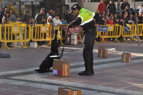 Exhibición canina en Cieza