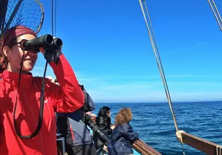 Los "embarques participativos" de Cemma permiten descubrir los cetáceos en la ría de Arousa