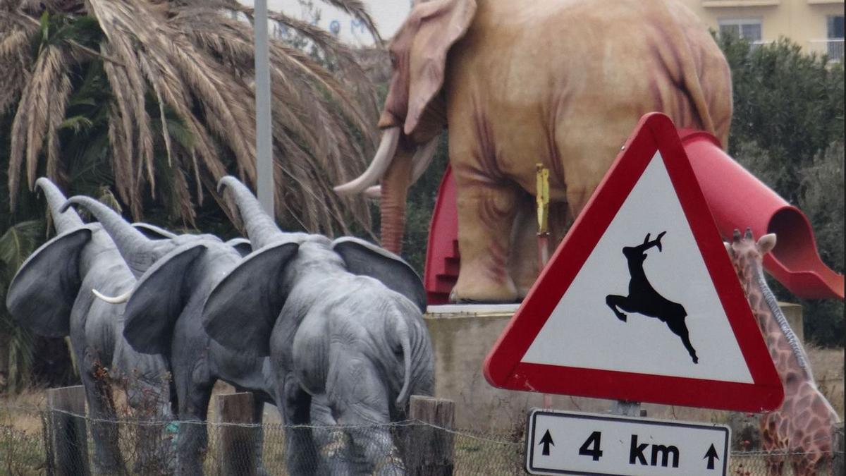 Elefants que s’exposaven a tocar l’autovia C-260.