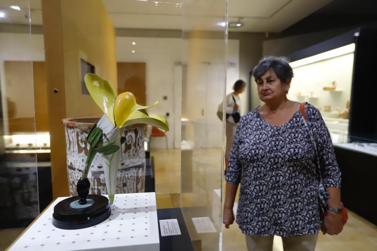 Flora expone el vínculo ancestral entre botánica y arqueología.