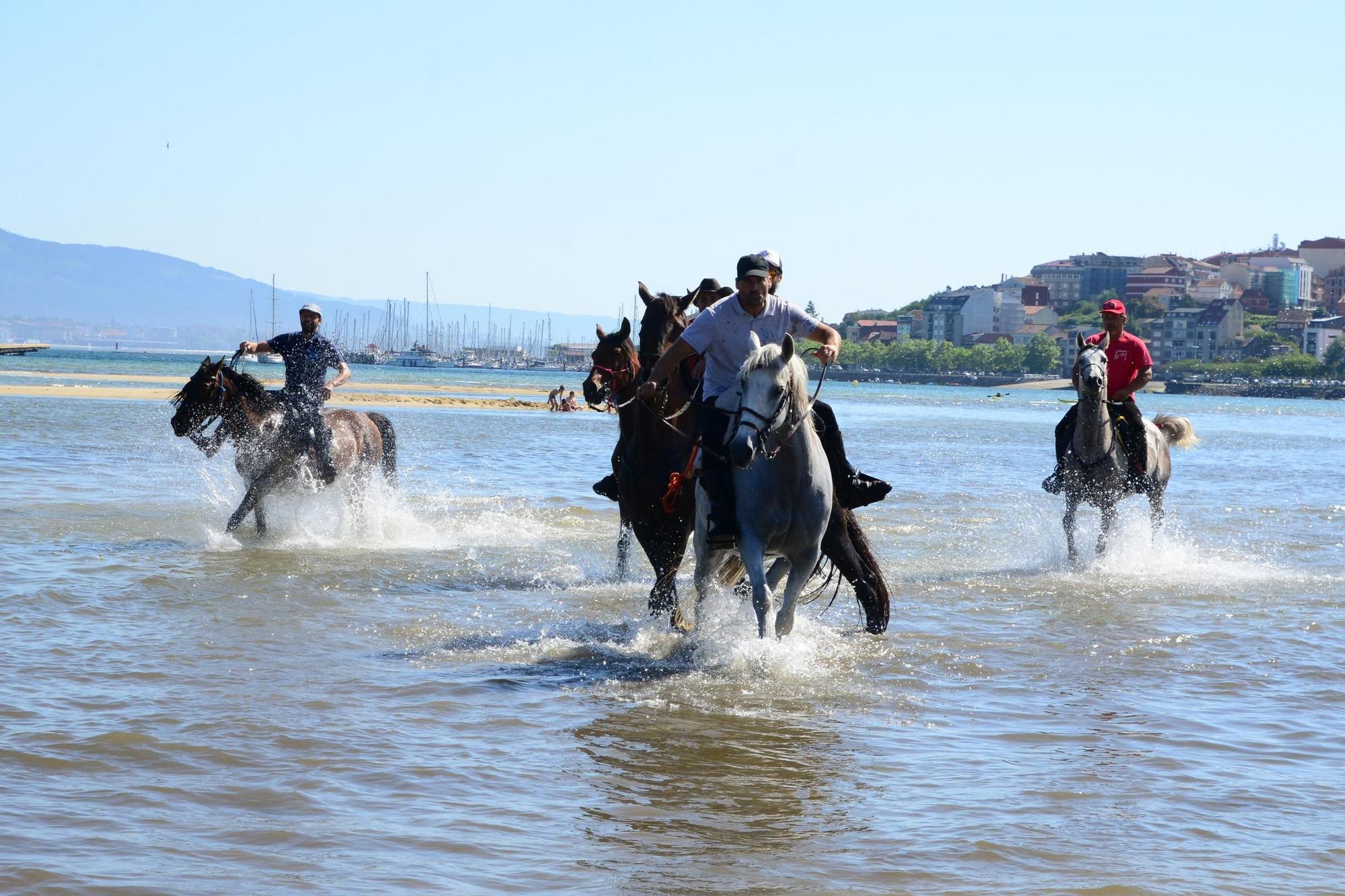 Una espectacular jornada a caballo por Moaña (I)