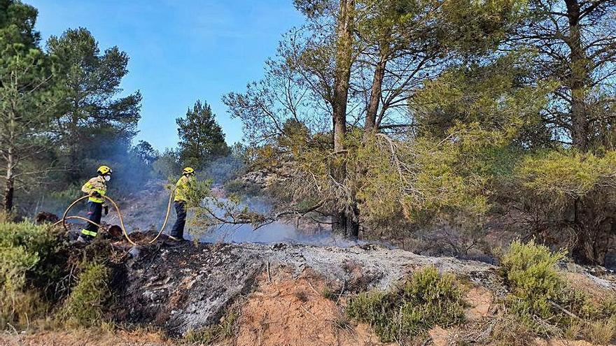 Un incendi crema 850 m2 de vegetació a Carme