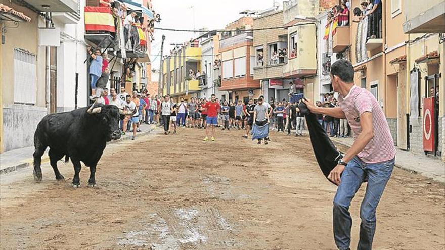 Los toros vuelven al programa de las fiestas de la mano de una renovada Peña El Quinto