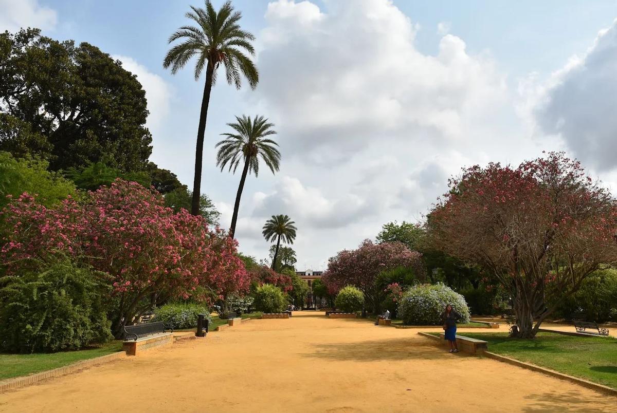 Jardines de Catalina de Ribera, el parque de Sevilla con palmeras, naranjos y senderos que rinde homenaje a una de las sevillanas más ilustres