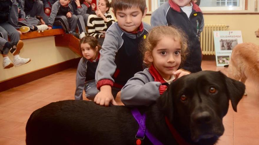 Mascotas | El respeto que se aprende desde el corazón