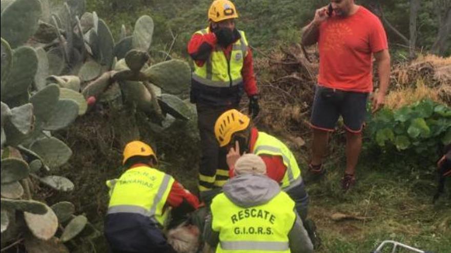 Localizada la nonagenaria desaparecida en Teror