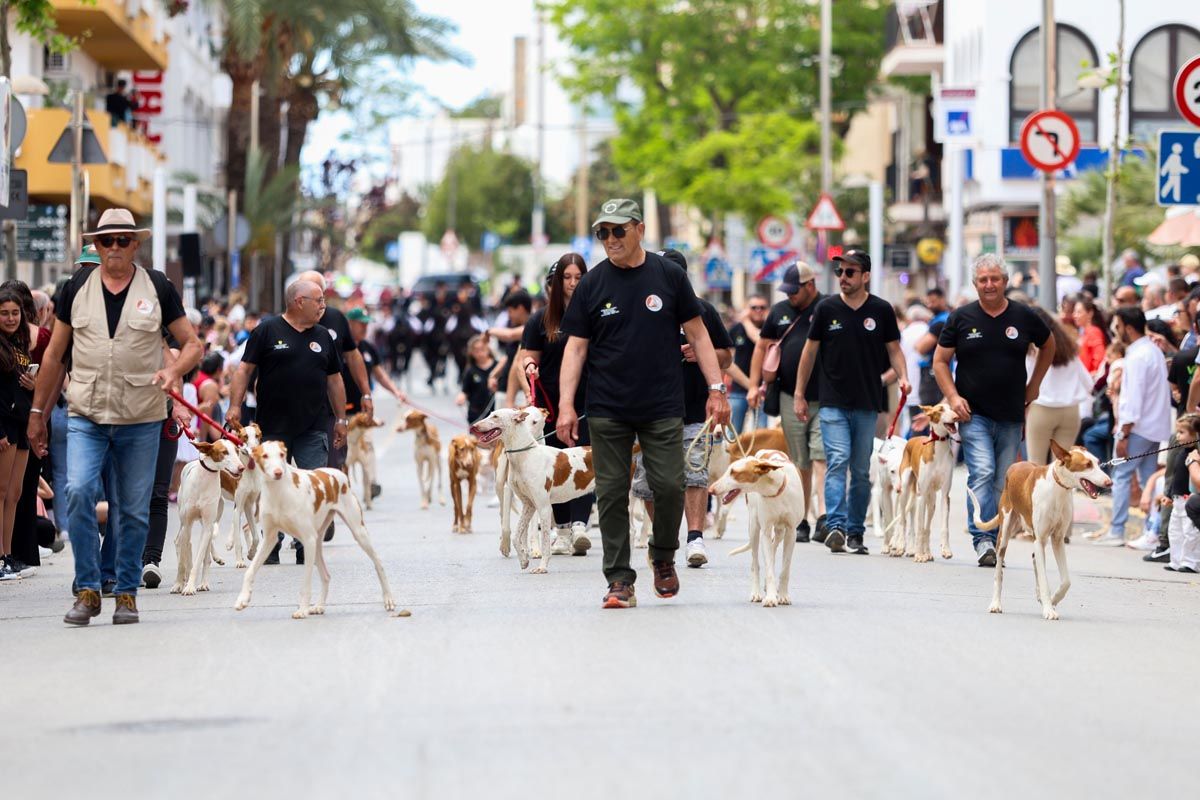 Todas las imágenes de 'Anar a maig' en Santa Eulària