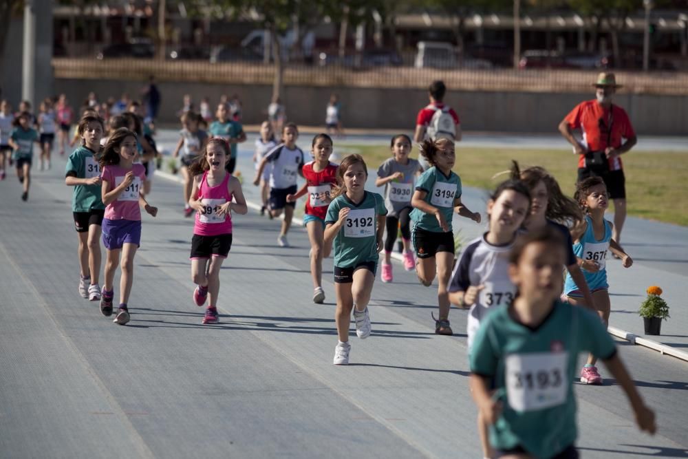 Cross Escolar de Elche