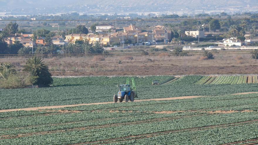 Los ecologistas aprietan con las plantas solares: 25 proyectos equivalentes a 520 campos de fútbol en tierras de cultivo