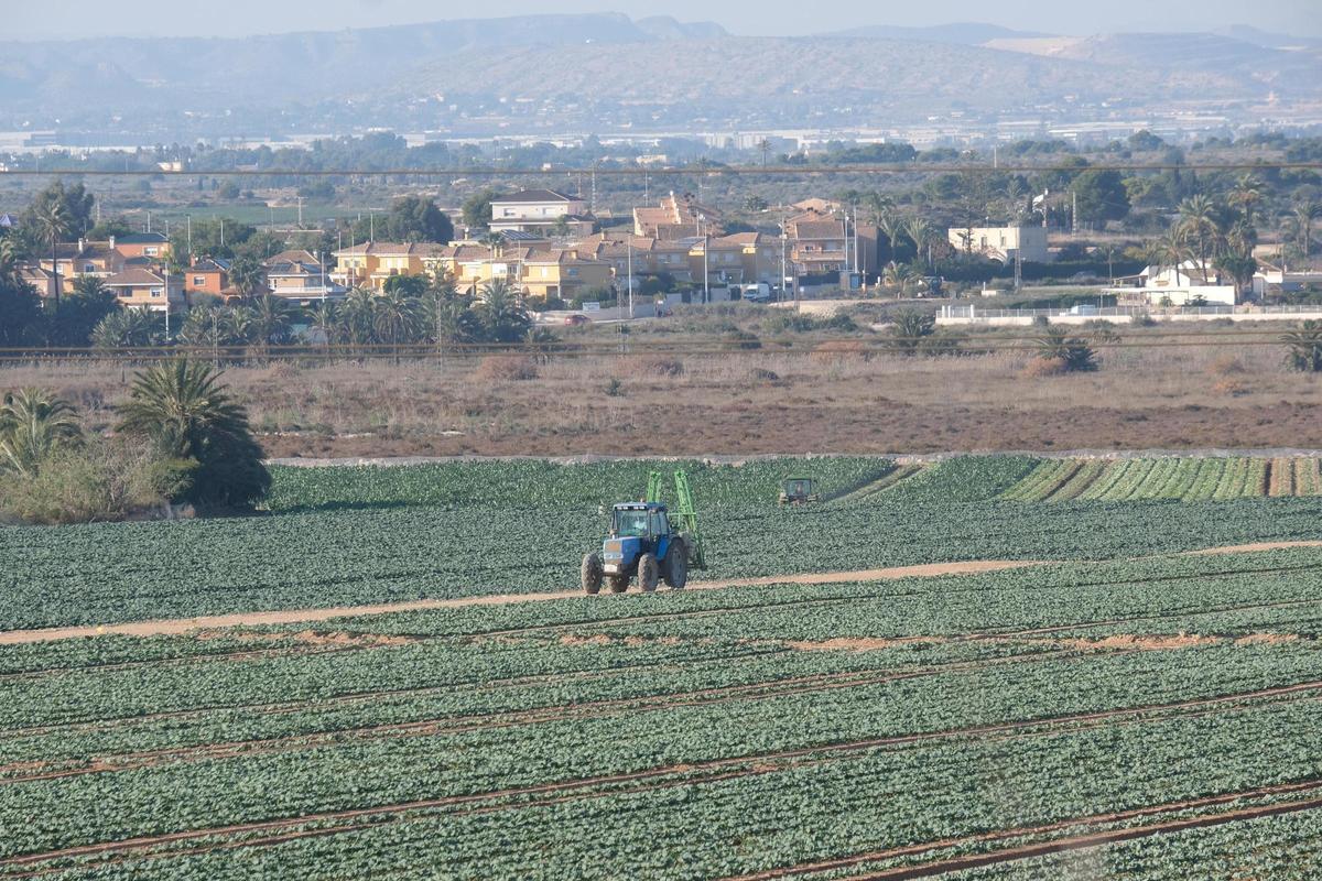 Una zona cercana a Gran Alacant en la que está proyectada una planta solar.