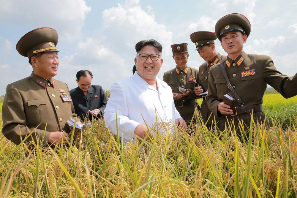 El líder de Corea del Norte, Kim Jong, promueve una guía para el campo en Pyongyang.