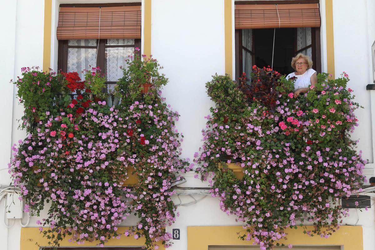 Fotogalería / Concurso municipal de Rejas y Balcones