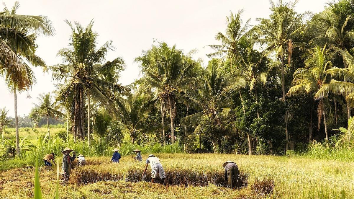 Indonesia