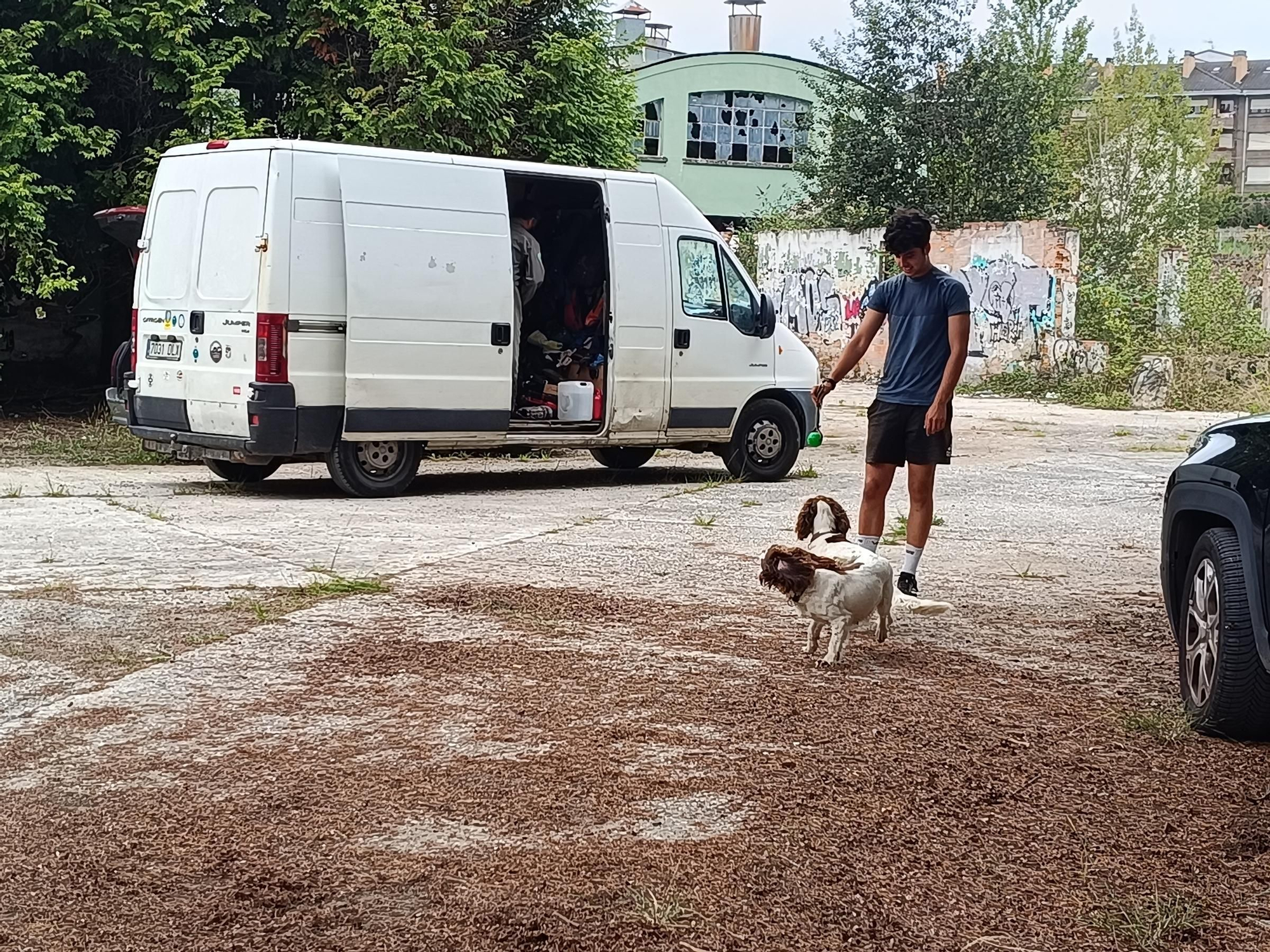 Así entrena la Unidad Canina de Rescate del Principado de Asturias, con sede en La Morgal