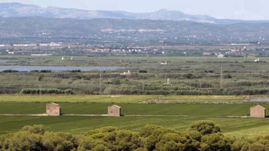 Vista del marjal y los campos de arroz captada desde El Saler.