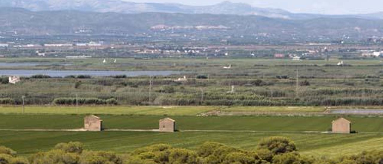 Vista del marjal y los campos de arroz captada desde El Saler.