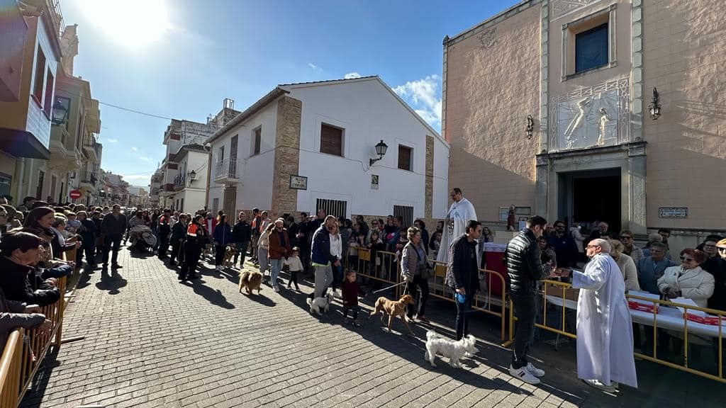 Daimús, Guardamar, Xeraco, l'Alqueria, Piles y Xeraco se vuelcan con Sant Antoni