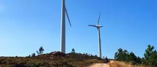 Los proyectos eólicos serán de “interés público superior” en Galicia para frenar suspensiones