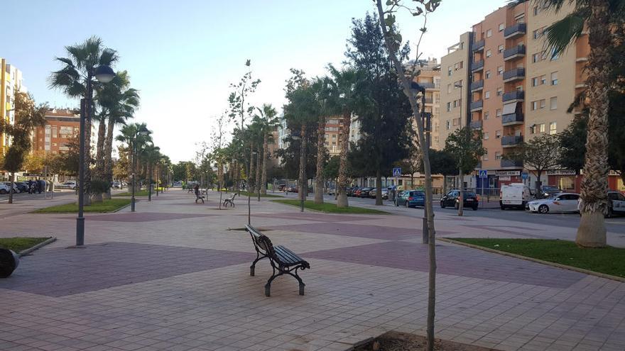 Sustituyen una treintena de árboles en Ronda Sur para dar sombra y embellecer la zona