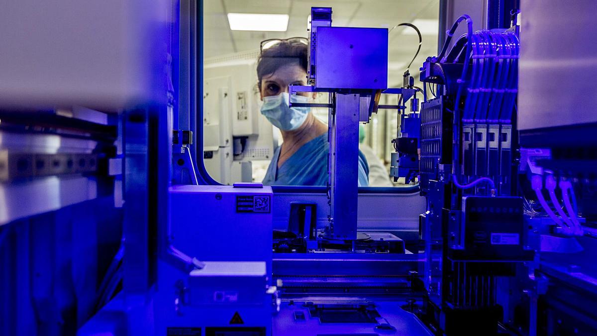 Manipulación de muestras en un laboratorio de Microbiología de la provincia de Alicante.