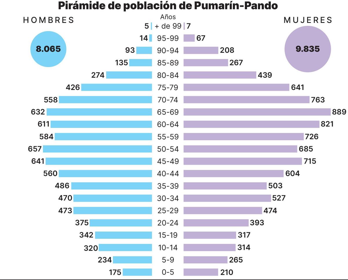 Pirámide de población de Pumarin-Pando