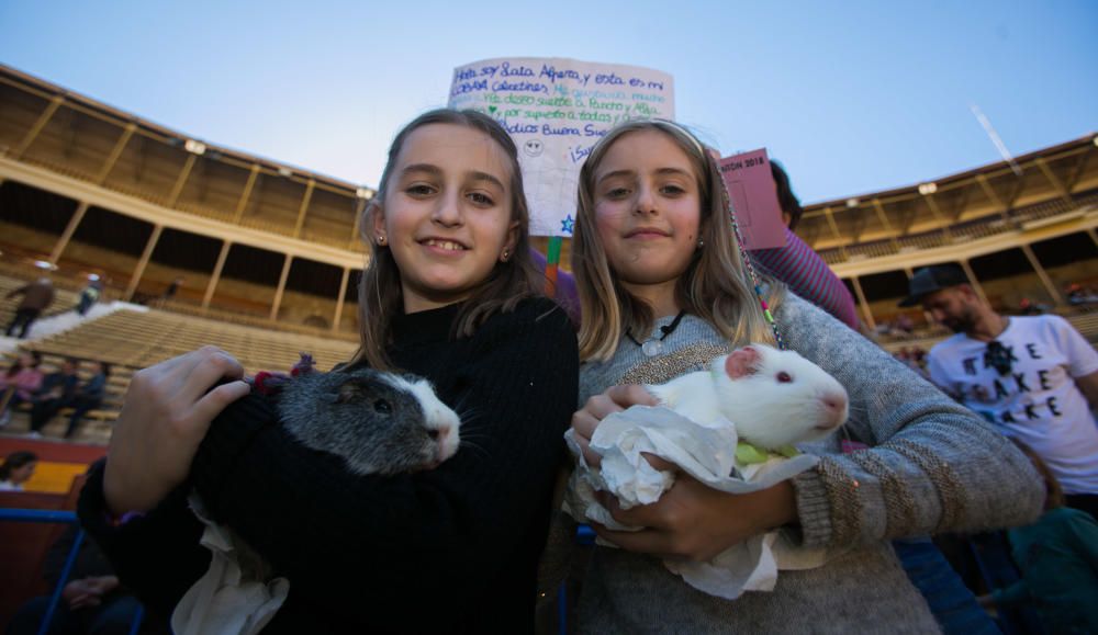 Bendición de los animales por el día de San Antón