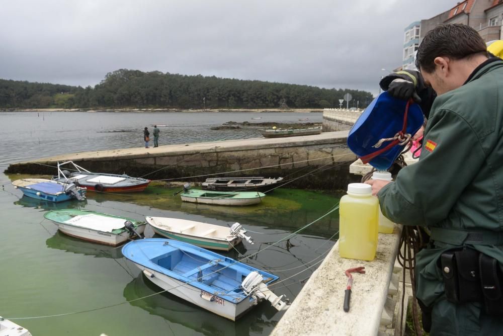 Gran mancha verde en el mar de Carril