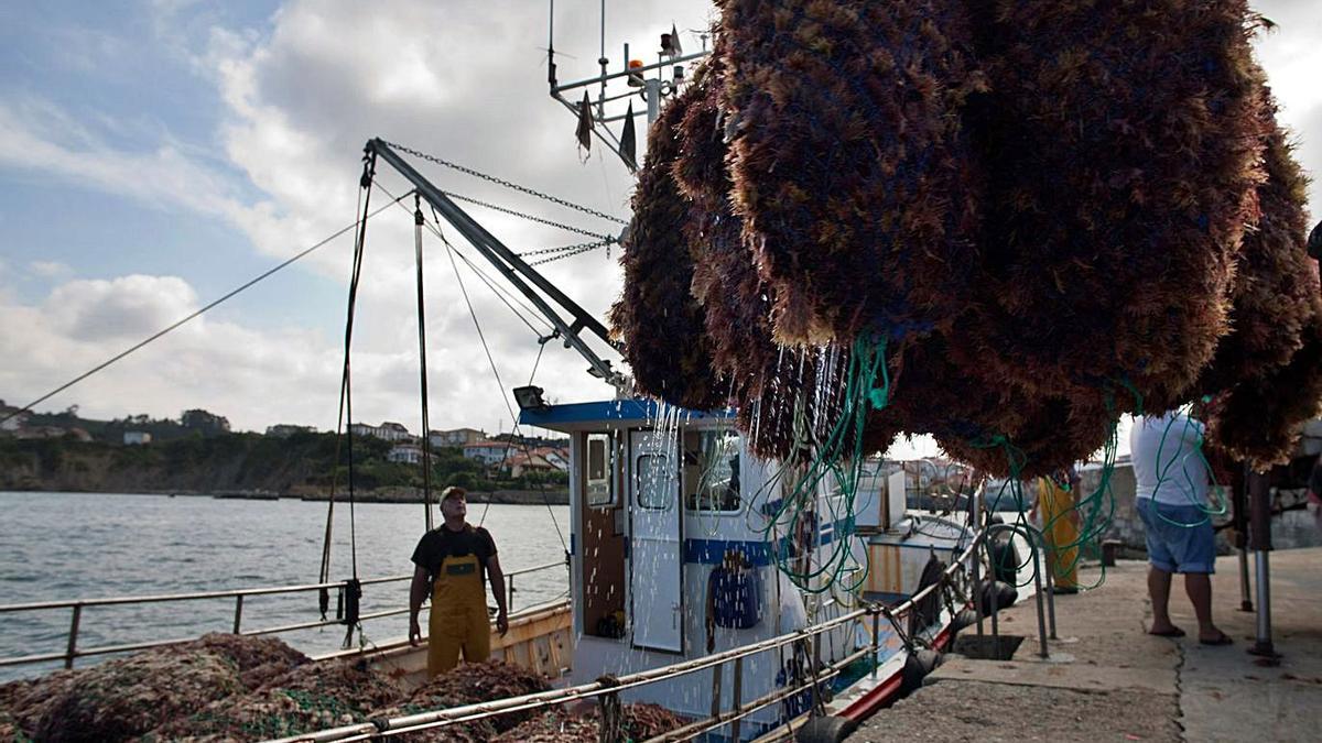 Un barcu descarga ocle nel puertu de Lluanco. | R. Solís