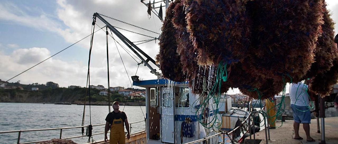 Un barco descarga ocle en el puerto de Luanco, en una imagen de archivo.