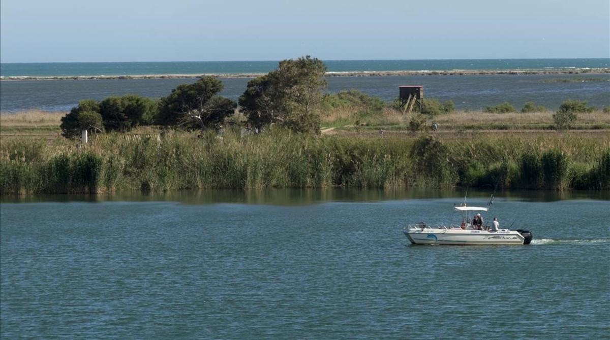 amadridejos38404245 deltebre  baix ebre   12 05 2017  sociedad  regresion del de170513114726