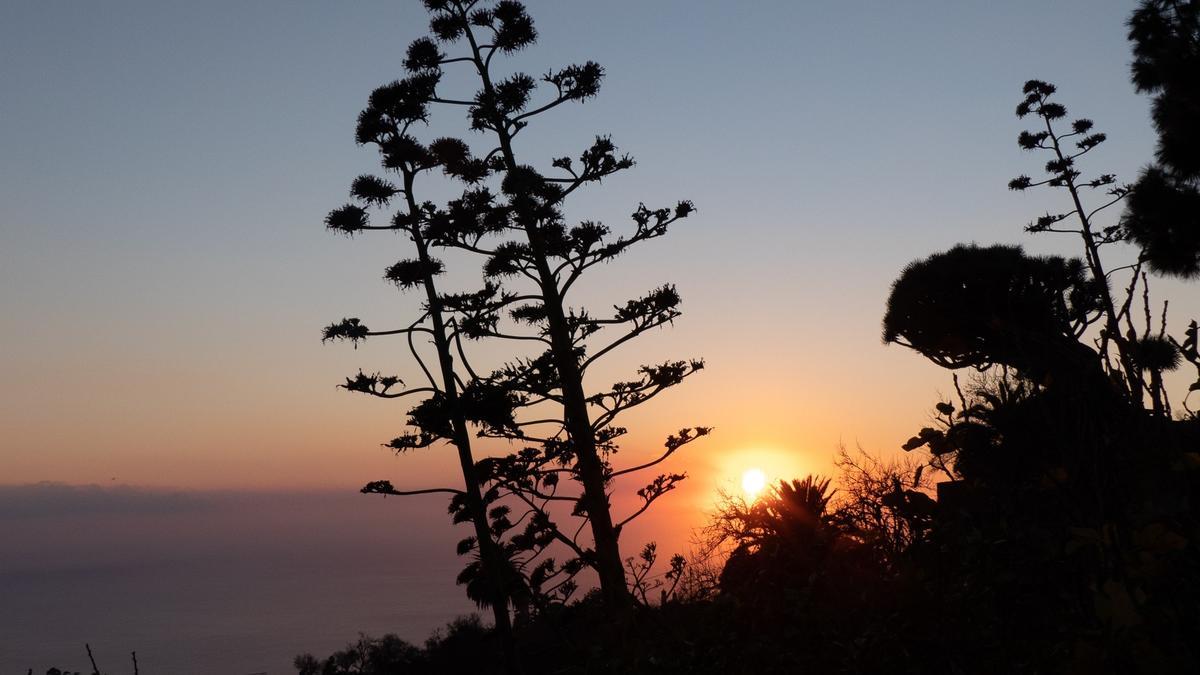 Vista de la columna de humo del volcán de La Palma